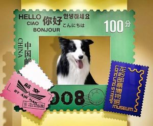 9插圖